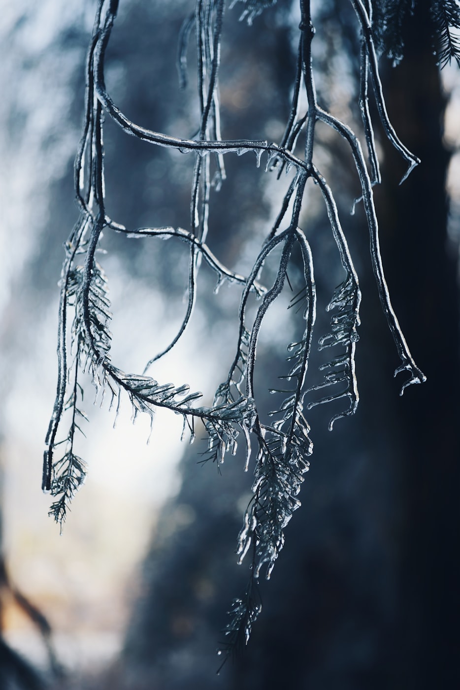 雪落365天，钓起四季诗，一个雪天钓鱼视频里的坚持与热爱
