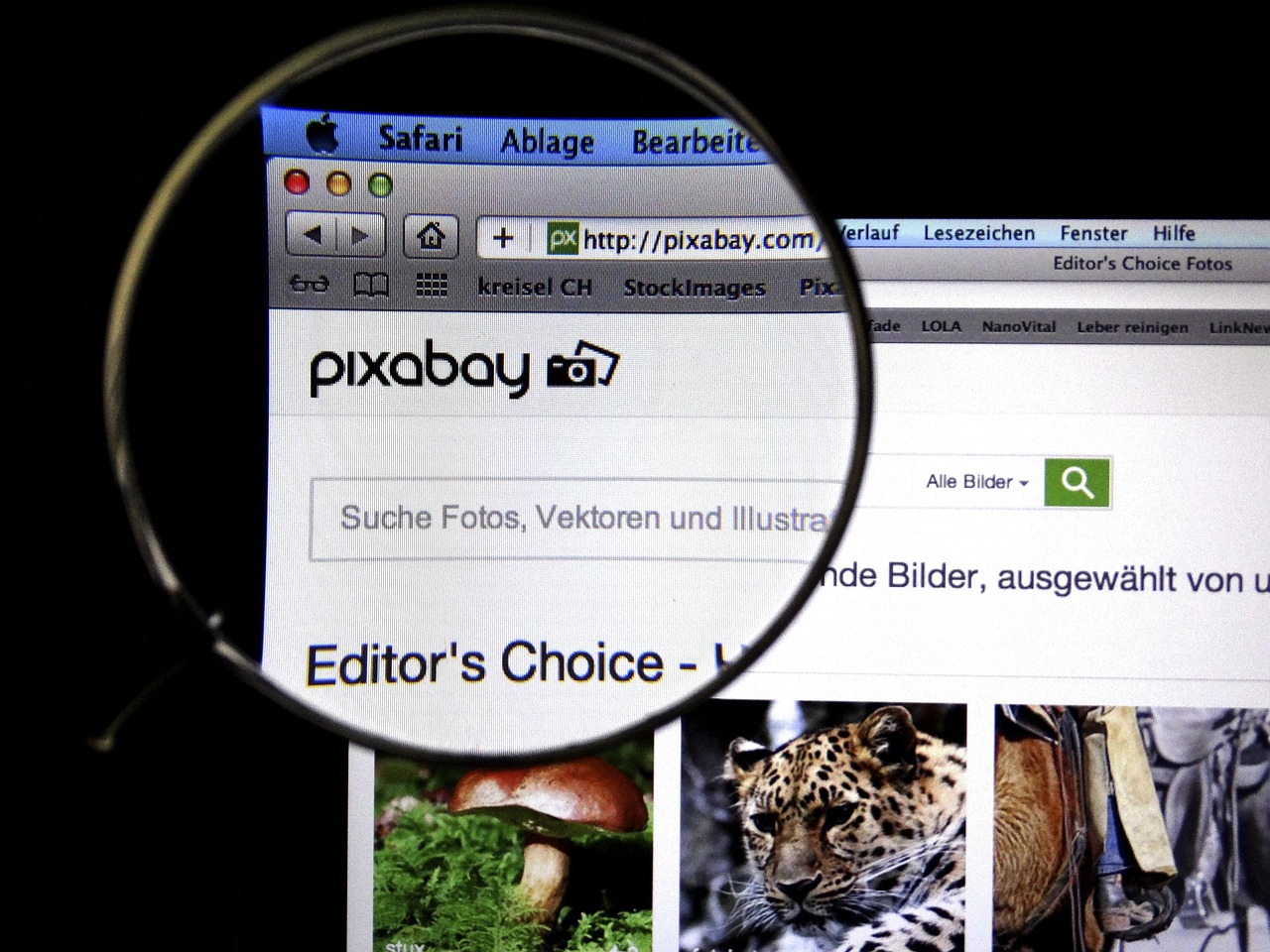 365帧车轮，我的骑行视频里，藏着365种生活的答案