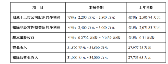 声迅股份 2024 年营收“大跳水”，投资者索赔箭在弦上